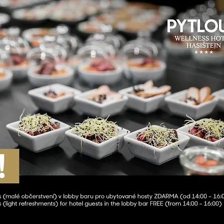 Pytloun Wellness Hasistejn Hotel