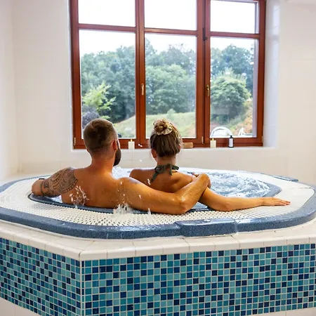 ホテル Pytloun Wellness Hasistejn 4*