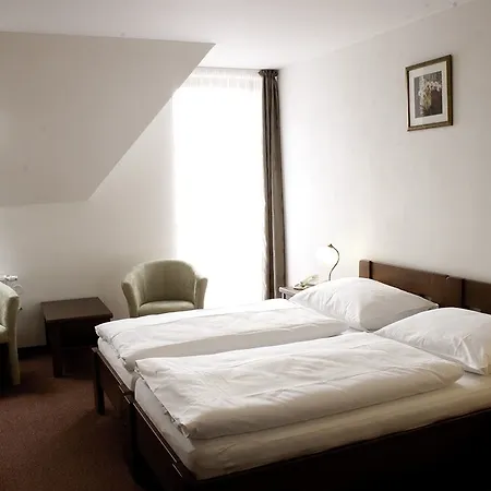 ホテル Pytloun Wellness Hasistejn 4*