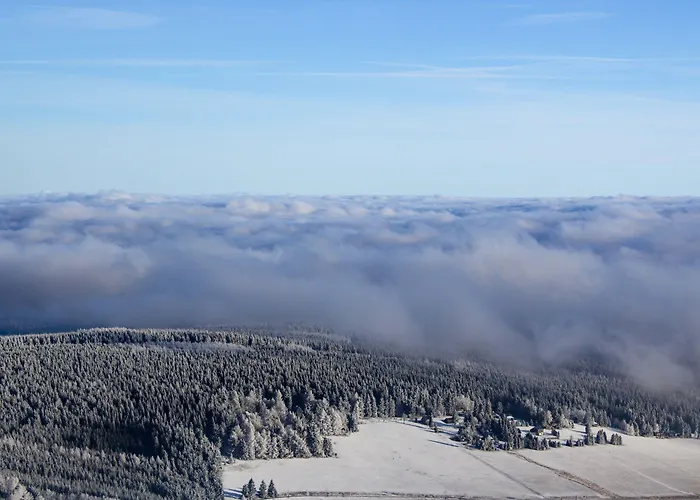 Pytloun Wellness Hasistejn 4* Místo