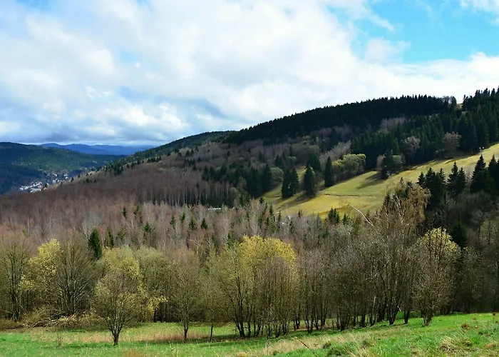 Pytloun Wellness Hasistejn