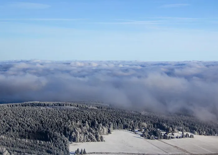 Pytloun Wellness Hasištejn Hotel